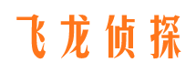 滨海侦探调查公司